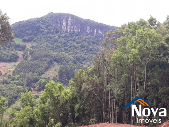 Imagem Imóvel à Venda, 31.701 m² em Linha Pirajá Baixa - Nova Petrópolis Imagem Imóvel à Venda, 31.701 m² em Linha Pirajá Baixa - Nova Petrópolis