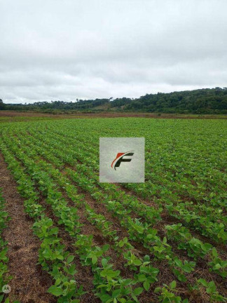 Fazenda à Venda, 726.000 m² em Jardim Vitória - Turvo