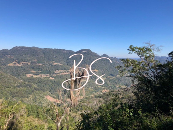 Imagem Imóvel com 3 Quartos à Venda, em Linha Brasil - Nova Petrópolis Imagem Imóvel com 3 Quartos à Venda, em Linha Brasil - Nova Petrópolis