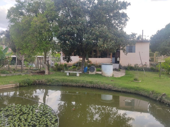 Imagem Chácara com 2 Quartos à Venda, 760 m² em Bairro Dos Leites - Piedade Imagem Chácara com 2 Quartos à Venda, 760 m² em Bairro Dos Leites - Piedade