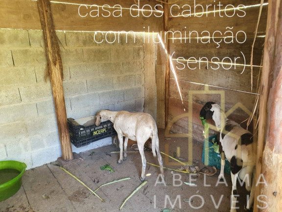 Imagem Chácara com 2 Quartos à Venda, 4.250 m² em Casa Vermelha - Ribeirão Pires Imagem Chácara com 2 Quartos à Venda, 4.250 m² em Casa Vermelha - Ribeirão Pires