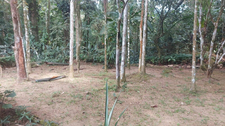 Imagem Chácara com 5 Quartos à Venda, 5.000 m² em Horto Florestal - Ubatuba Imagem Chácara com 5 Quartos à Venda, 5.000 m² em Horto Florestal - Ubatuba