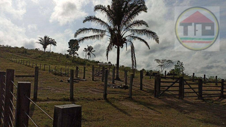 Imagem Fazenda à Venda, 2.032.800 m² em Br-230, Itupiranga - Pa, 68580-000, Brasil -5.024794, -49.459885 - Itupiranga Imagem Fazenda à Venda, 2.032.800 m² em Br-230, Itupiranga - Pa, 68580-000, Brasil -5.024794, -49.459885 - Itupiranga