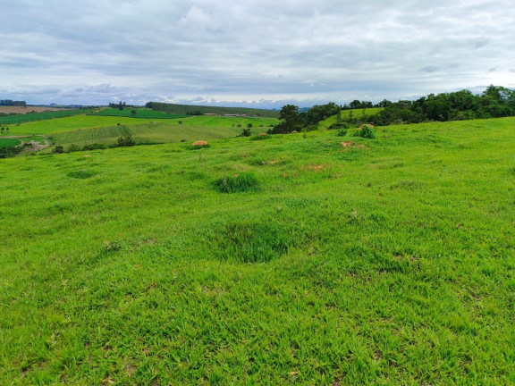 Imagem Imóvel com 2 Quartos à Venda, 338.800 m² em Centro - Itapetininga Imagem Imóvel com 2 Quartos à Venda, 338.800 m² em Centro - Itapetininga