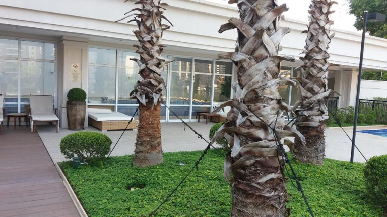 Imagem Apartamento com 4 Quartos à Venda,  em Aclimação - São Paulo