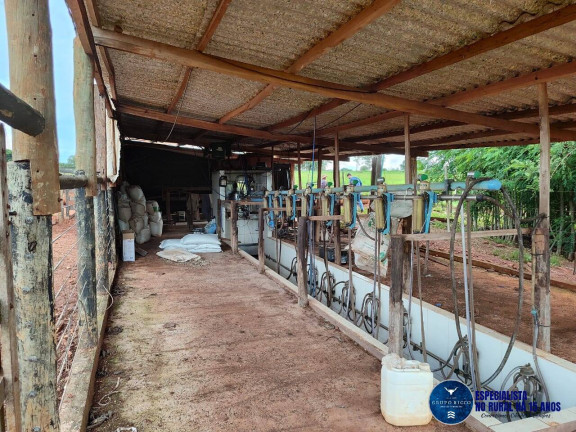 Imagem Chácara à Venda, 8 m² em Zona Rural - Taquaral De Goiás Imagem Chácara à Venda, 8 m² em Zona Rural - Taquaral De Goiás