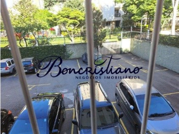 Imagem Apartamento com 2 Quartos à Venda, em Vila Amélia - Sao Paulo Imagem Apartamento com 2 Quartos à Venda, em Vila Amélia - Sao Paulo