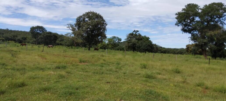 Imagem Fazenda à Venda, 121 m² em Zona Rural - Montes Claros De Goiás Imagem Fazenda à Venda, 121 m² em Zona Rural - Montes Claros De Goiás