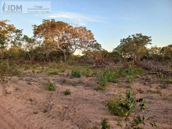 Imagem Chácara à Venda, 19.500.000 m² em Centro - Arinos
