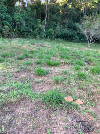Imagem Chácara à Venda, 3 m² em Portão - Atibaia Imagem Chácara à Venda, 3 m² em Portão - Atibaia