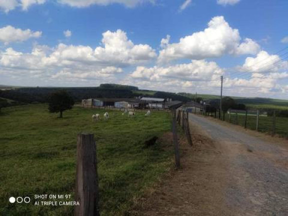 Imagem Chácara com 4 Quartos à Venda, 2.000 m² em Alambari