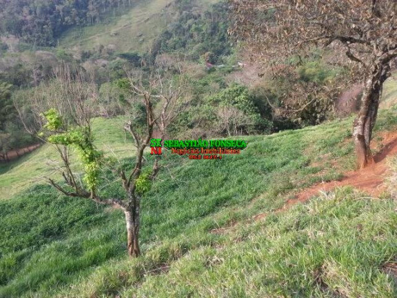 Imagem Chácara à Venda, 20.000 m² em São Francisco Xavier - São José Dos Campos Imagem Chácara à Venda, 20.000 m² em São Francisco Xavier - São José Dos Campos