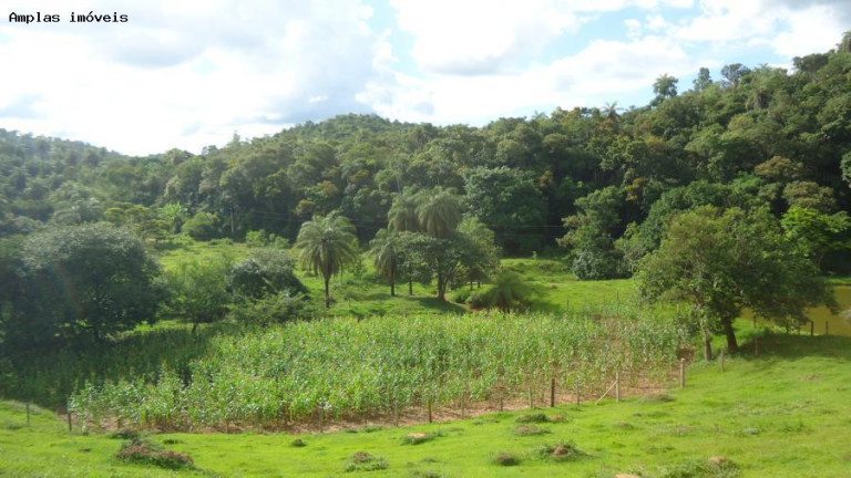 Imagem Fazenda à Venda, 6 m² em Azurita - Mateus Leme