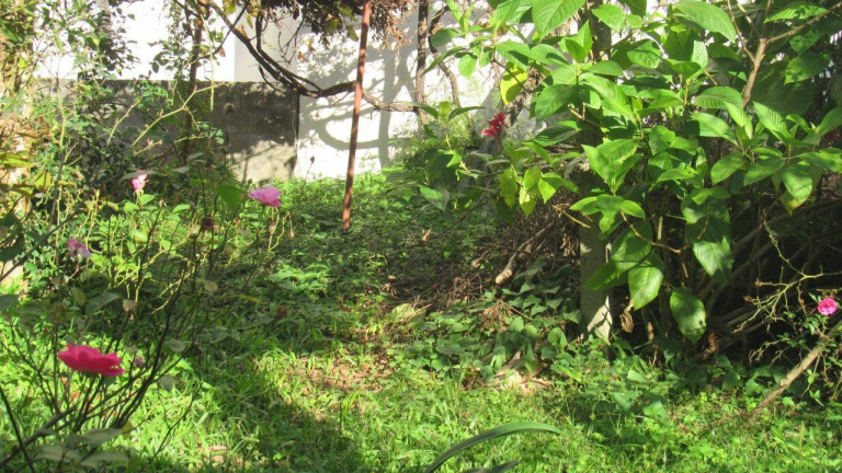Imagem Terreno à Venda, 560 m² em Centro - Concórdia Imagem Terreno à Venda, 560 m² em Centro - Concórdia