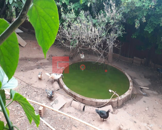 Imóvel com 3 Quartos à Venda, 2.500 m² em Centro - Montes Claros