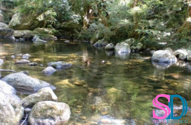 Casa de Condomínio com 3 Quartos à Venda, 200 m² em Horto Florestal - Ubatuba