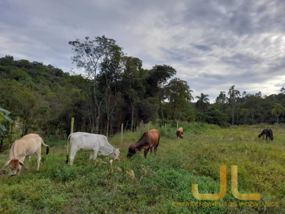 Imagem Terreno à Venda, 100 m² em Alto Cedros - Rio Dos Cedros Imagem Terreno à Venda, 100 m² em Alto Cedros - Rio Dos Cedros