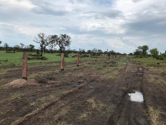 Imagem Fazenda à Venda, 3.100 m² em Rural - Porto Alegre Do Norte