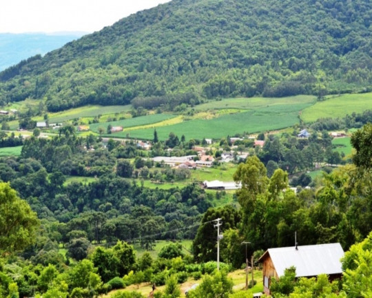Imovel