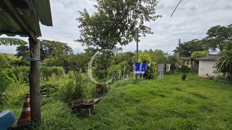 Imagem Chácara com 3 Quartos à Venda, 44.000 m² em Mato Seco - Mogi Guaçu Imagem Chácara com 3 Quartos à Venda, 44.000 m² em Mato Seco - Mogi Guaçu
