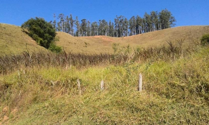 Imagem Chácara com 2 Quartos à Venda, 10 m² em Paiol - Guaratinguetá Imagem Chácara com 2 Quartos à Venda, 10 m² em Paiol - Guaratinguetá