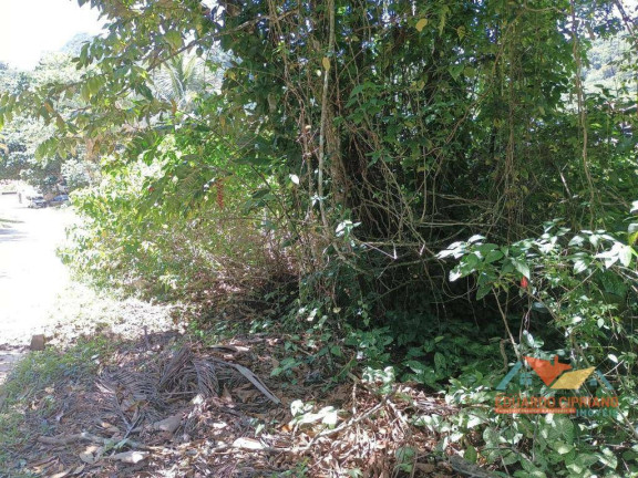 Imagem Terreno à Venda, 774 m² em Verde Mar - Caraguatatuba