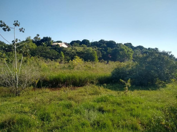 Imagem Imóvel à Venda, 874 m² em Palmeiras - Guaraparia