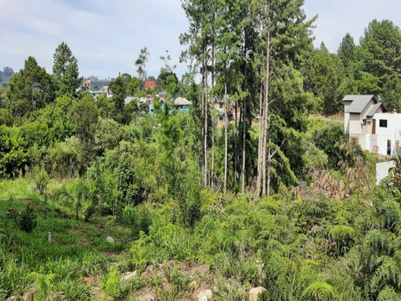 Imagem Terreno à Venda, 405 m² em Linha Imperial - Nova Petrópolis Imagem Terreno à Venda, 405 m² em Linha Imperial - Nova Petrópolis