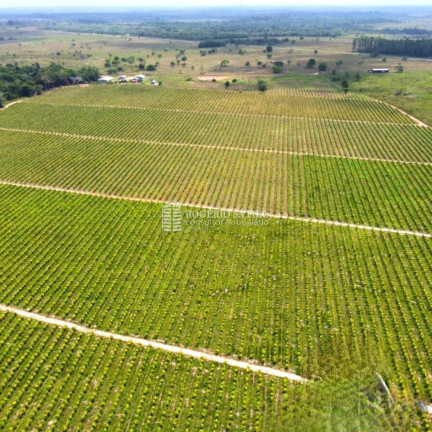 Imagem Imóvel com 3 Quartos à Venda, 9.600.000 m² em Centro - Tomé-açú Imagem Imóvel com 3 Quartos à Venda, 9.600.000 m² em Centro - Tomé-açú