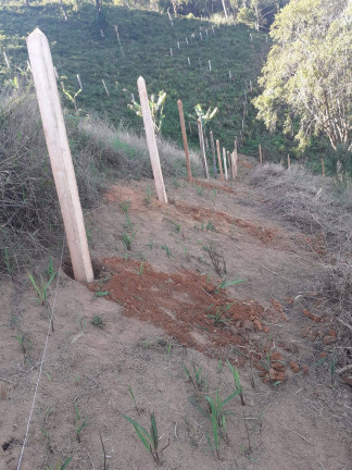 Imagem Chácara à Venda, 2 m² em Briet Catuçaba - São Luíz Do Paraitinga Imagem Chácara à Venda, 2 m² em Briet Catuçaba - São Luíz Do Paraitinga