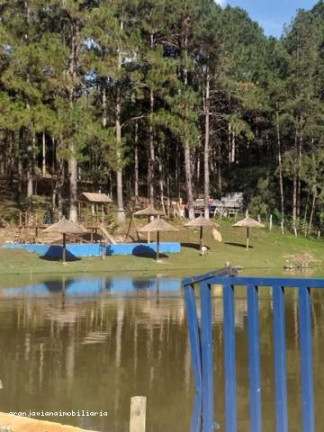 Imagem Chácara à Venda, em Centro - São Roque Imagem Chácara à Venda, em Centro - São Roque