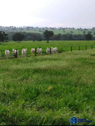 Imagem Fazenda à Venda, 123 m² em Zona Rural - Torixoréu Imagem Fazenda à Venda, 123 m² em Zona Rural - Torixoréu