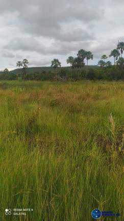 Imagem Fazenda à Venda, 814 m² em Zona Rural - Nova Xavantina Imagem Fazenda à Venda, 814 m² em Zona Rural - Nova Xavantina