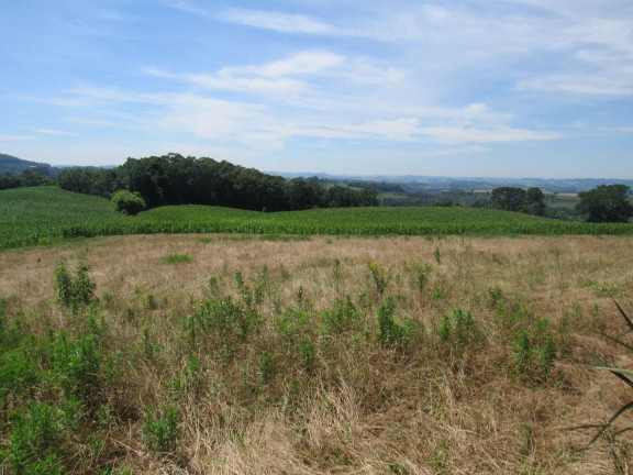 Imagem Terreno à Venda, 90.000 m² em Rural - Concórdia Imagem Terreno à Venda, 90.000 m² em Rural - Concórdia