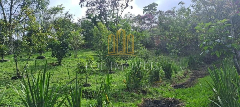 Imagem Chácara com 2 Quartos à Venda, 5.700 m² em Jardim Colônia - Jacareí Imagem Chácara com 2 Quartos à Venda, 5.700 m² em Jardim Colônia - Jacareí