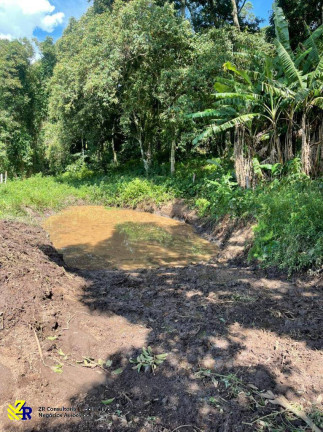 Imagem Chácara à Venda, 41 m² em Pitangueiras - Pedra Bela Imagem Chácara à Venda, 41 m² em Pitangueiras - Pedra Bela