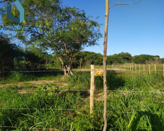 Imagem Terreno à Venda, 1.000 m² em Praia Rasa ( Marina) - Armação Dos Búzios Imagem Terreno à Venda, 1.000 m² em Praia Rasa ( Marina) - Armação Dos Búzios