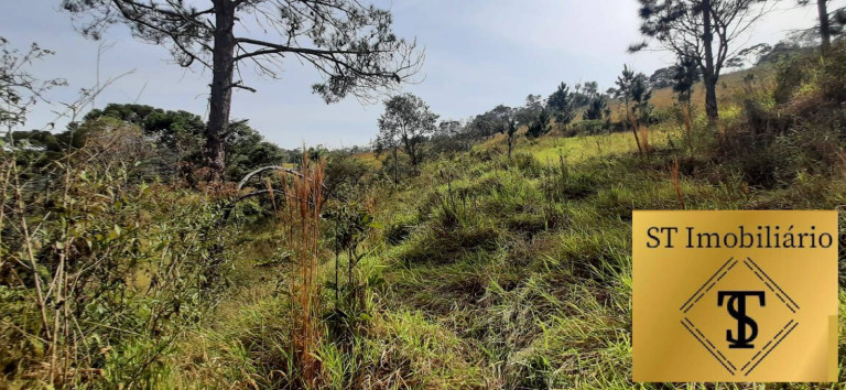 Imagem Chácara com 3 Quartos à Venda, 72.000 m² em Estância Santa Maria Do Portão - Atibaia