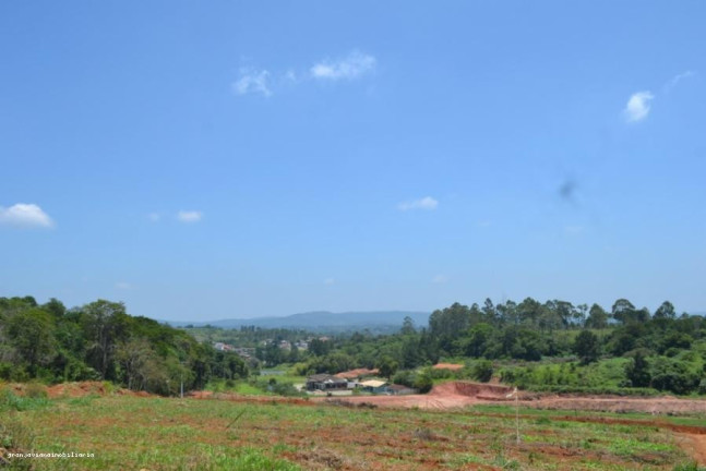 Imagem Terreno à Venda, 500.000 m² em Florada Raizes - Cotia Imagem Terreno à Venda, 500.000 m² em Florada Raizes - Cotia