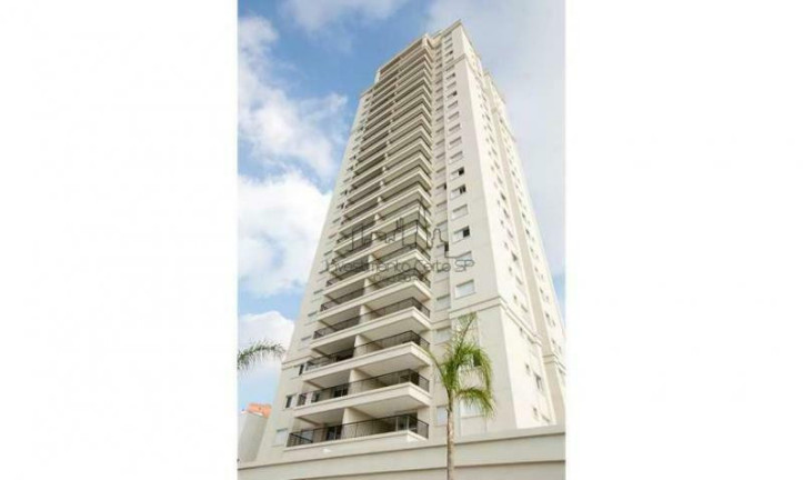 Imagem Apartamento com 3 Quartos à Venda, 97 m² em Vila Gomes Cardim - São Paulo Imagem Apartamento com 3 Quartos à Venda, 97 m² em Vila Gomes Cardim - São Paulo