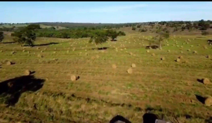 Imagem Fazenda à Venda, 4.534 m² em Rural - Camapuã