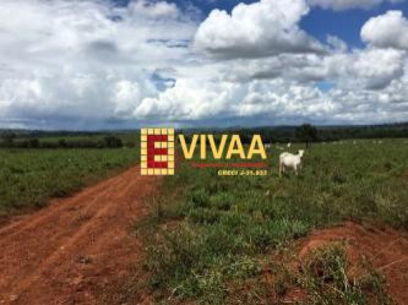 Imagem Fazenda à Venda, 21 m² em Novo São Joaquim