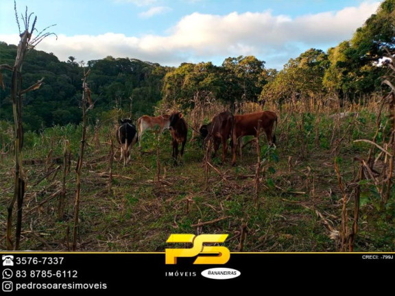 Imagem Imóvel à Venda, 65.000 m² em Serraria - Serraria Imagem Imóvel à Venda, 65.000 m² em Serraria - Serraria