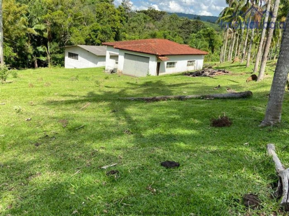 Imagem Chácara com 10 Quartos à Venda, 245.000 m² em Centro - Piracaia