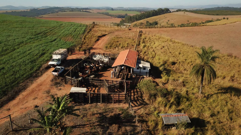 Imagem Fazenda à Venda, 35 m² em Distrito De Barrania - Caconde Imagem Fazenda à Venda, 35 m² em Distrito De Barrania - Caconde