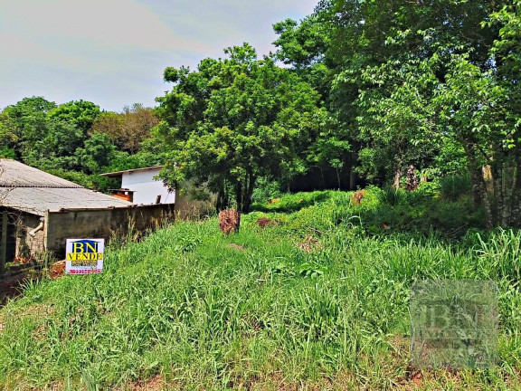 Imagem Terreno à Venda, 360 m² em Linha Santa Cruz - Santa Cruz Do Sul Imagem Terreno à Venda, 360 m² em Linha Santa Cruz - Santa Cruz Do Sul