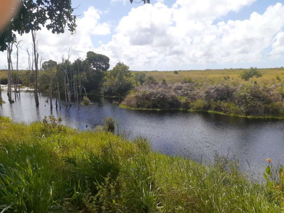 Imagem Imóvel com 1 Quarto à Venda, 774.400 m² em Mogiquiçaba - Belmonte Imagem Imóvel com 1 Quarto à Venda, 774.400 m² em Mogiquiçaba - Belmonte