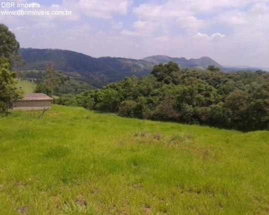 Imagem Terreno à Venda, 20.000 m² em Marmeleiro - São Roque Imagem Terreno à Venda, 20.000 m² em Marmeleiro - São Roque
