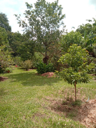 Imagem Chácara com 2 Quartos à Venda, 6.500 m² em Mato Dentro - Jundiaí