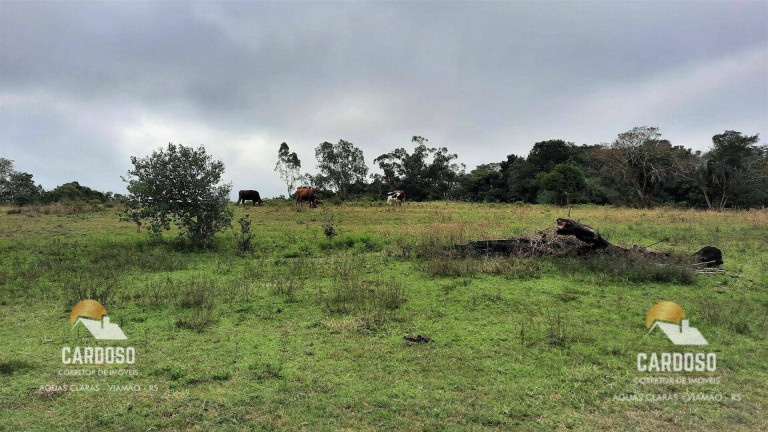 Imagem Fazenda à Venda, 90.000 m² em águas Claras - Viamão Imagem Fazenda à Venda, 90.000 m² em águas Claras - Viamão